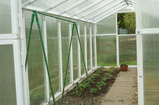 Plant Net 2 x 20 mtr tuinplantennet — zo goed als nieuw