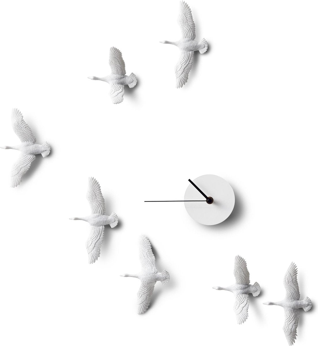 Haoshi Migrantbird X Clock — Zeer goed