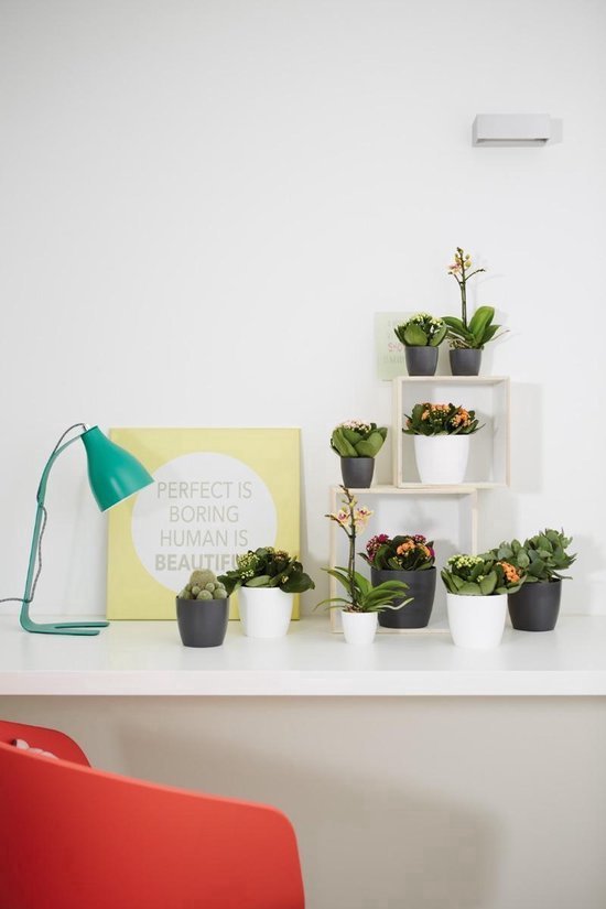 Elho B.for Soft Rond 35 Bloempot — gebruikt