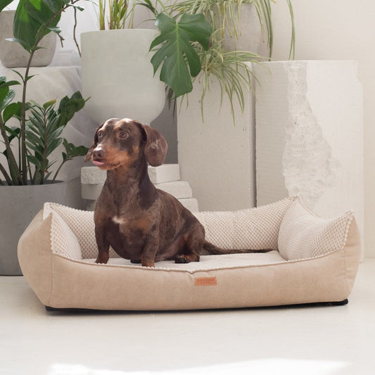 Orthopedic Dog Bed ANCONA
