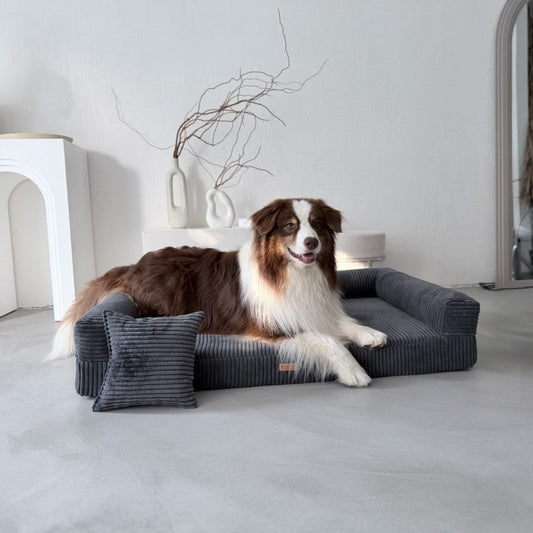 Orthopedic Dog Bed PARMA