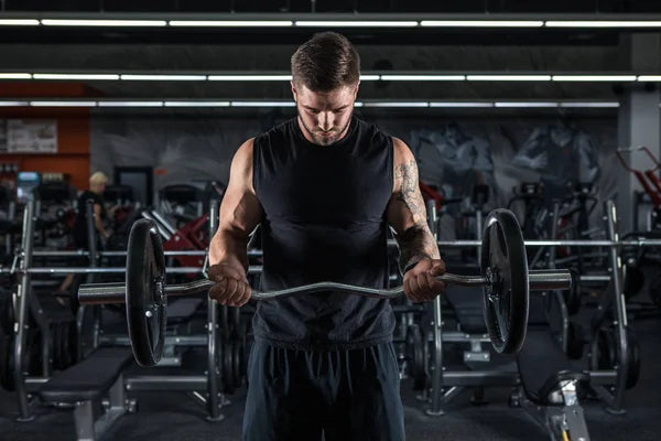 Fitnessapparaten