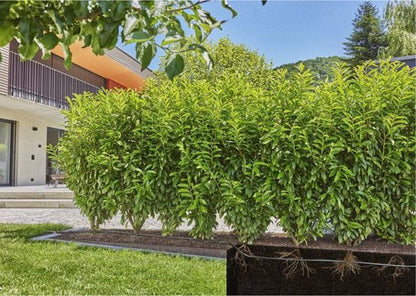 GARDENA Micro-Drip Complete bewateringss — zo goed als nieuw