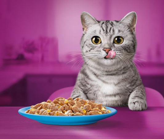 Whiskas Kattenvoer Adult 1+ Vis in gelei Giga-Pac — gebruikt