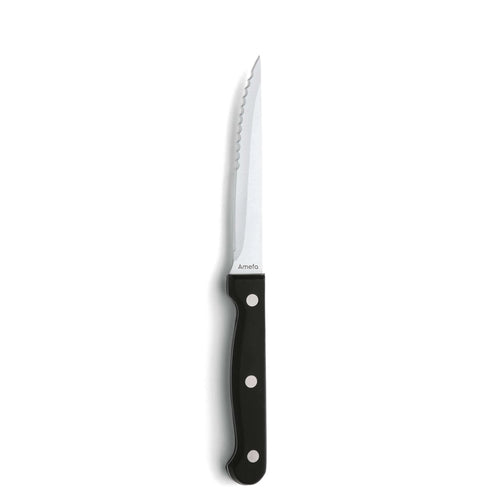 Amefa Steakmessenset 6-delig — nieuw