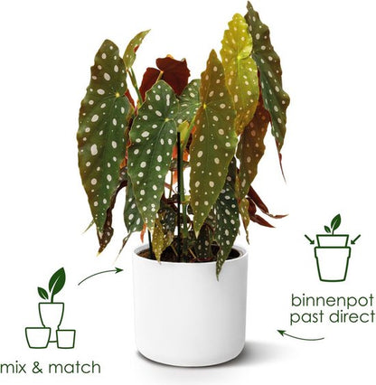 Elho B.for Soft Rond 35 Bloempot — gebruikt