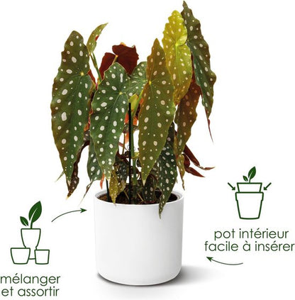 Elho B.for Soft Rond 35 Bloempot — gebruikt
