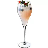 Chef & Sommelier Symetrie Champagneglas 16cl Set-6 — nieuw