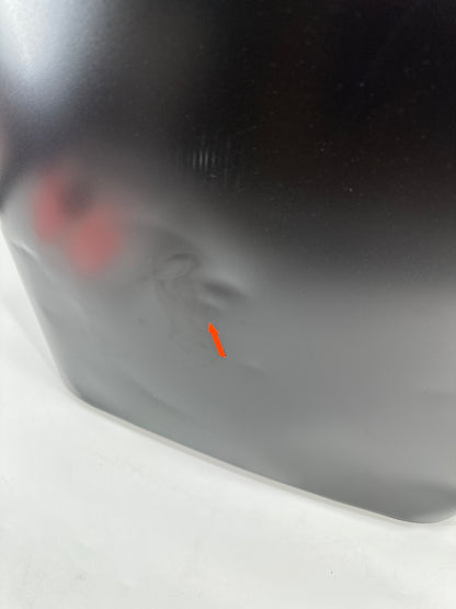 Brabantia Bo Touch Bin Prullenbak - 2 x 30 liter — nieuw