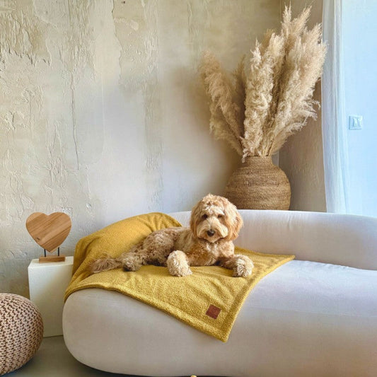 Pet Blanket Belluno