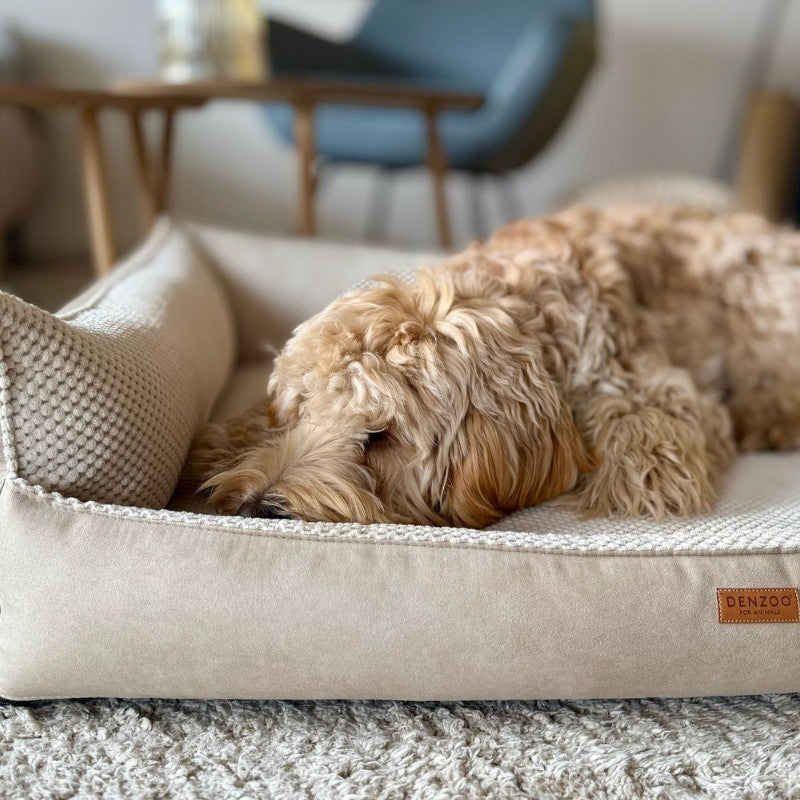 Orthopedic Dog Bed ANCONA