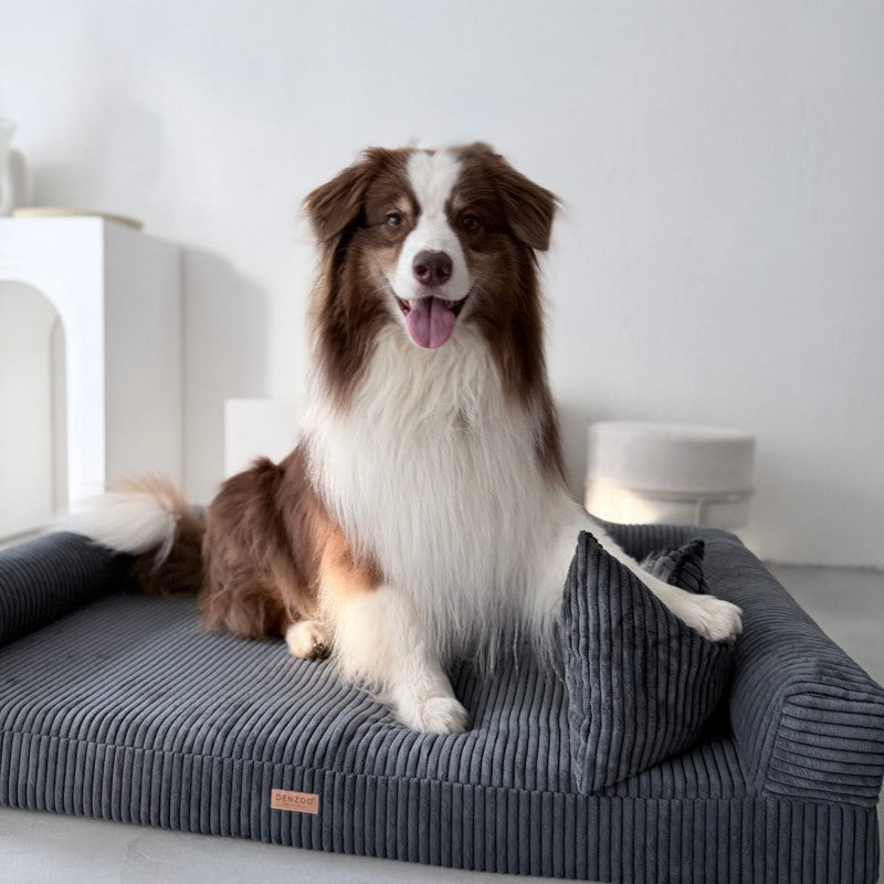 Orthopedic Dog Bed PARMA