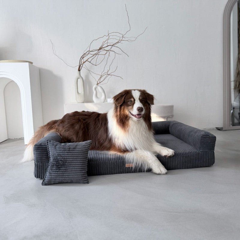 Orthopedic Dog Bed PARMA