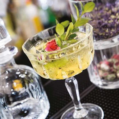 RCR Opera Champagne coupeglazen 24 cl — nieuw